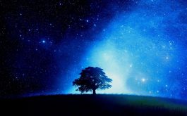 فانتزی کهکشان آبی و درخت